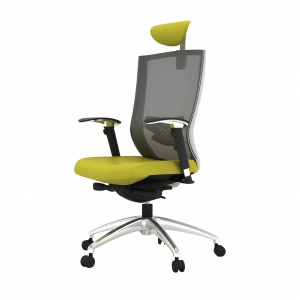 Xenix ergonomic chair