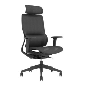 S-Flex office chair