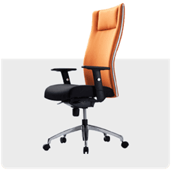 ergonomic friendly office chairs